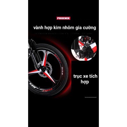 XE ĐẠP GẤP GỌN PHOENIX  20 INCH- BÁNH ĐÚC 3 ĐAO -5 ĐAO -HÀNG SẴN