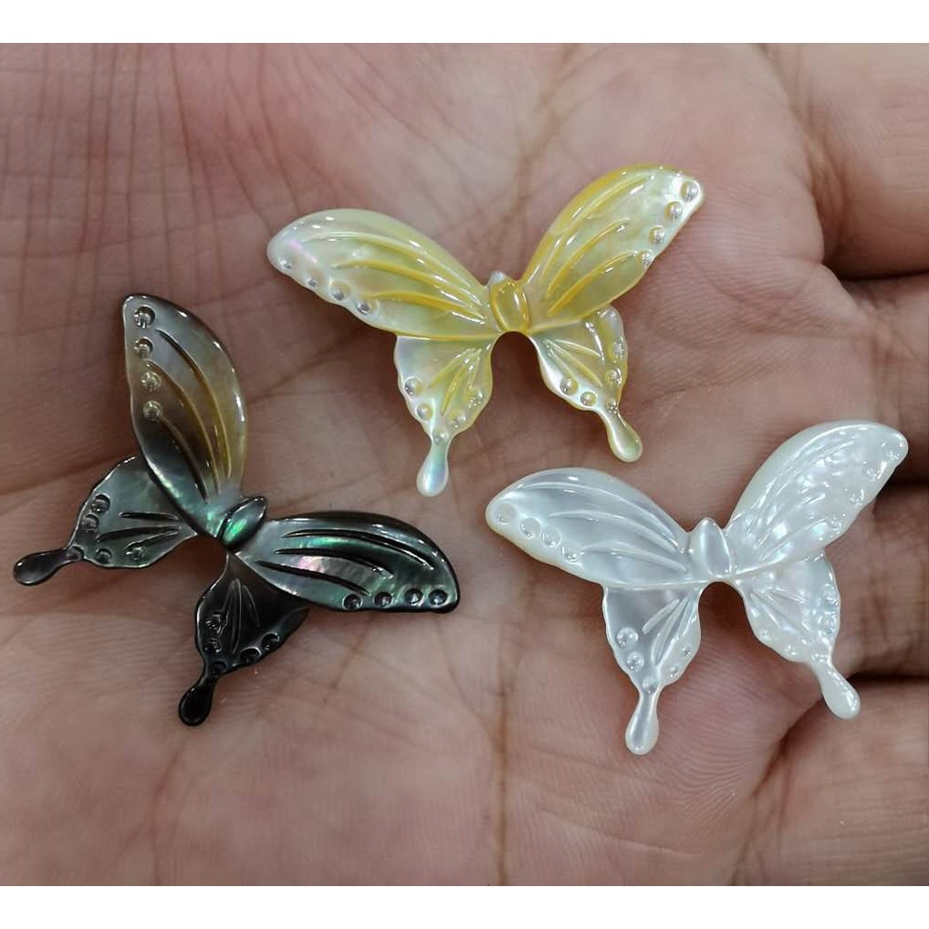 Vỏ Sò Bướm Trắng Vàng 20X30MM