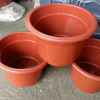 30 cái xô trồng cây hoa cao cấp đường kính 24cm cao 17cm