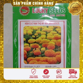 Hạt Giống Hoa Cúc Vạn Thọ Mỹ Mix -50 hạt