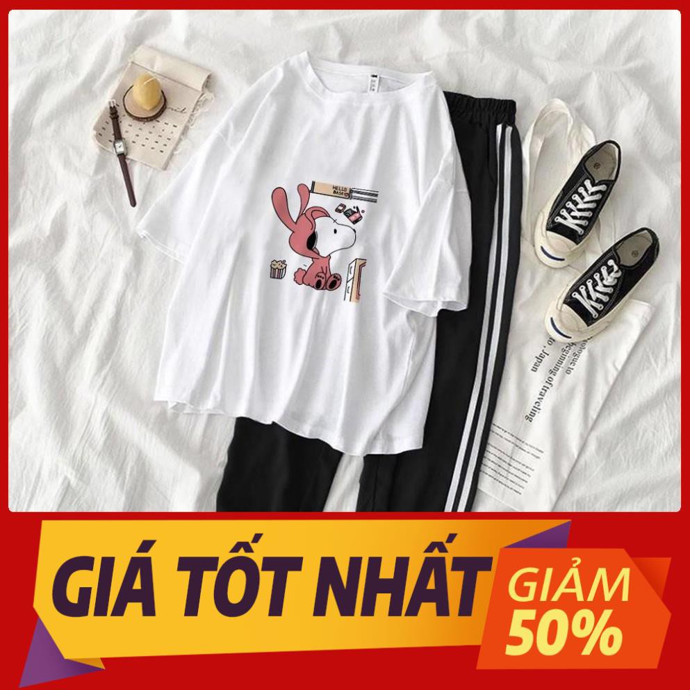 Set Đồ Thể Thao Năng Động Unisex Quần Jogger Phối Thun Unisex Gấu Tai Dày S10 Có Big Size