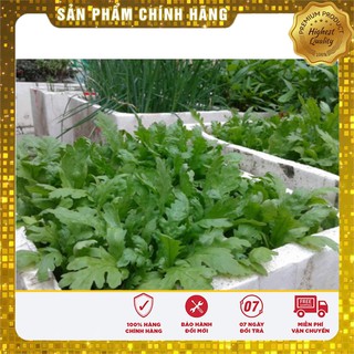 Hạt Giống Rau Cải Cúc Tẻ (20gr)