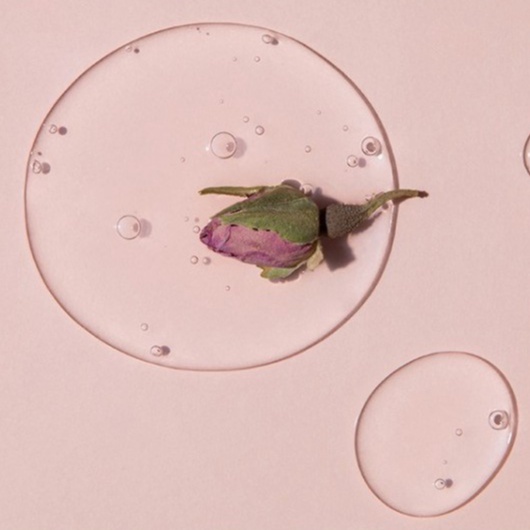 Tinh chất hoa hồng dưỡng và ngăn ngùa lão hóa Aromatica Reviving Rose Infusion Serum 100ml