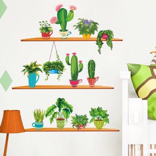 Decal tranh dán tường chậu cây trang trí đẹp nhất