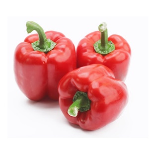 0.1gr Hạt giống ớt chuông sai trái