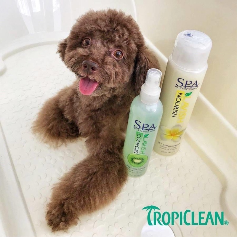 Xịt dưỡng lông TropiClean Made in USA