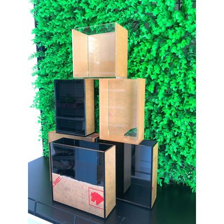 Hồ show cá /Keo show cá mica