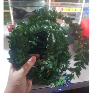 1 bó dây kẽm lá làm vòng nguyệt quế