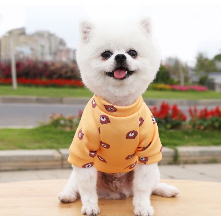 Áo nỉ nhiều hoạ tiết ☺️☺️
