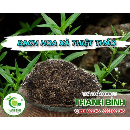 Bạch Hoa Xà Thiệt Thảo_Hàng Công Ty Loại 1