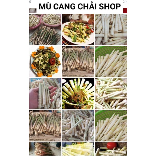 Măng sặt, măng trúc, măng ngọt Yên Bái túi 500g