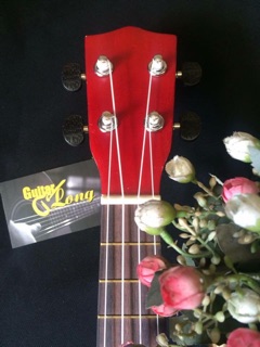 Đàn ukulele concert
