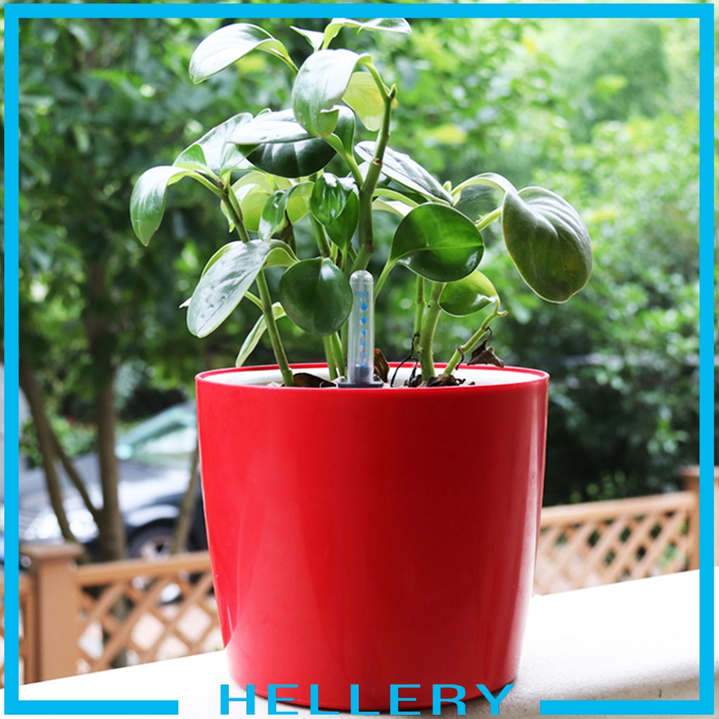 Chậu Trồng Cây Tự Tưới Nước 7 '' H Cho Nhà Cửa