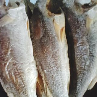 Khô cá lù đù, cá lưỡi trâu