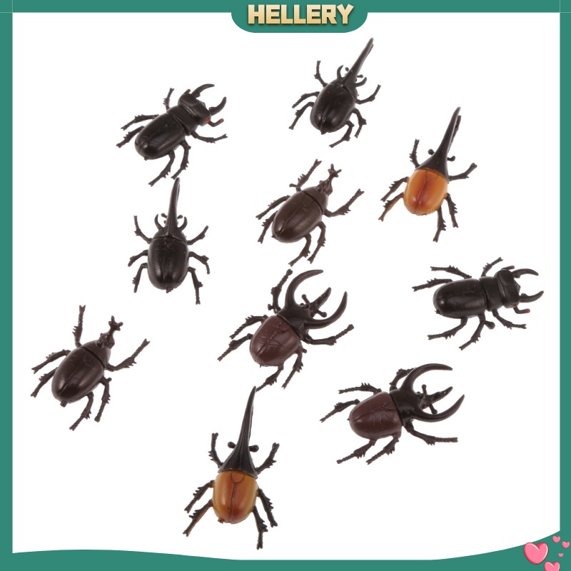 Set 10 Mô Hình Côn Trùng Bằng Nhựa Cho Bé