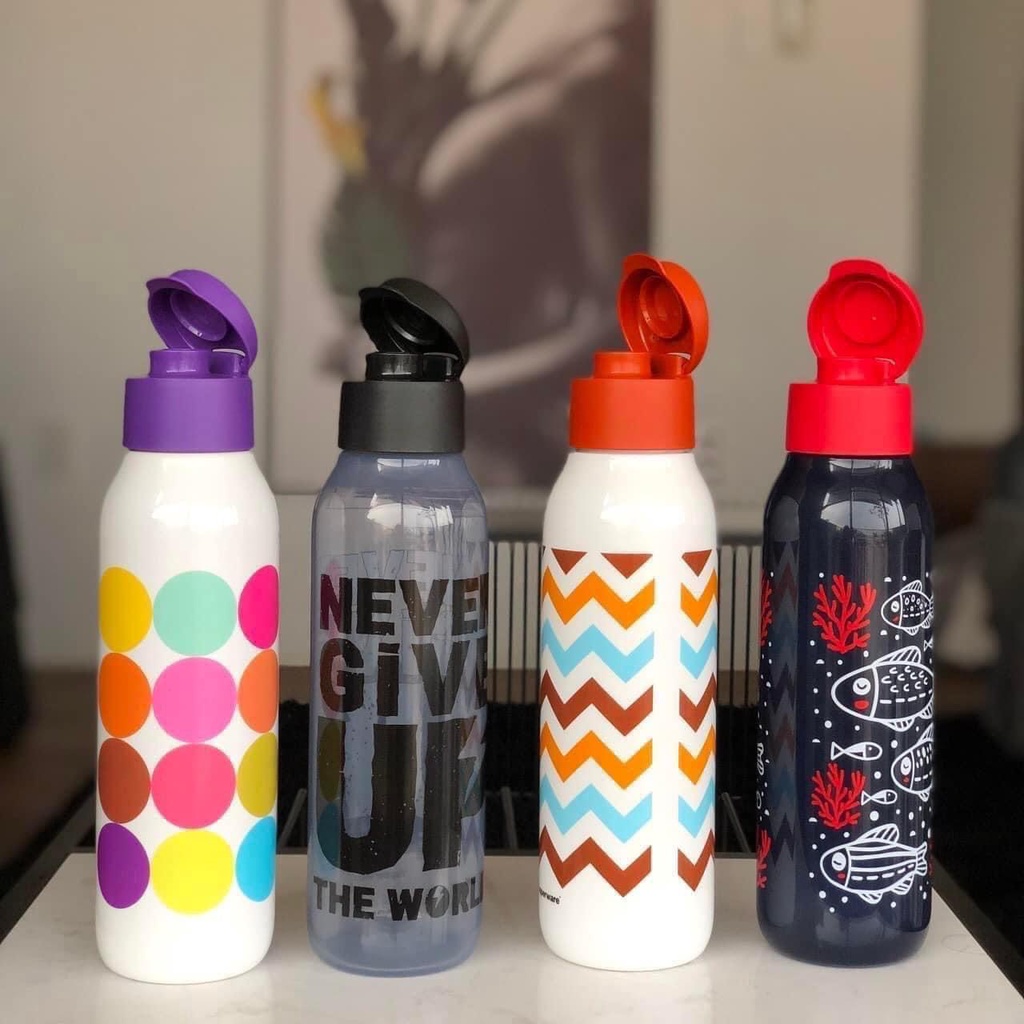 Bình Nước Eco Bottle Fancy 750ml