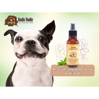 Xịt vệ sinh răng miệng cho cún Budle’Budle chai 120ml