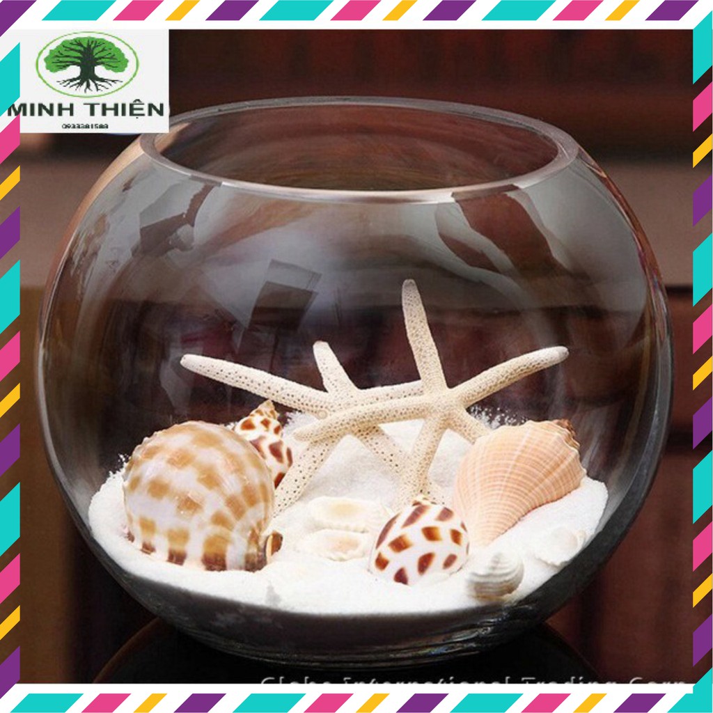 Bể Cá Thủy Tinh Chậu Cây 17cm x 13cm  -  T11