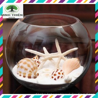Bể cá thủy tinh chậu cây 17cm x 13cm - t11