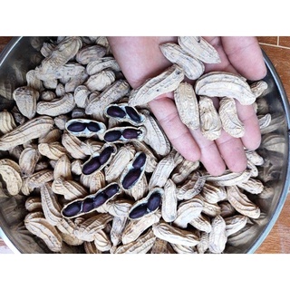 Gói 20 hạt giống lạc đen