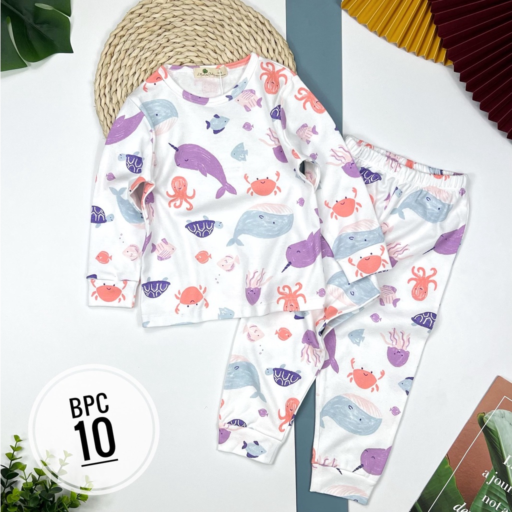 Bộ quần áo mùa thu đông LITIBABY, hình họa tiết