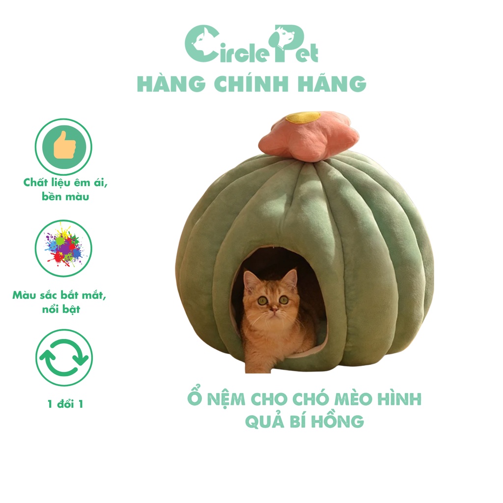 Đệm Nằm Cho Thú Cưng Hình Quả Bí Gắn Hoa Xinh Xắn Chất Vải Êm Ái 2 Màu Size M 50cm - Circle Pet