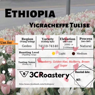 Cà phê Arabica Ethiopia Tulise nhập khẩu - Ethiopia trồng tại Gedeo - 3C Roastery - phù hợp pha handbrew, pha espresso