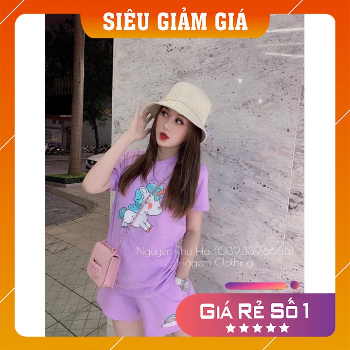 [Ảnh thật tự chụp] Đồ bộ mặc nhà thun cotton co giản thoải mái