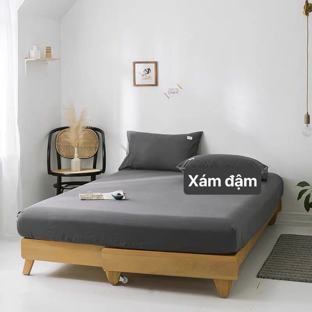 Set Ga + 2 Vỏ Gối Cotton TICI - Cotton Hoạt Tính | BigBuy360 - bigbuy360.vn