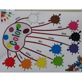 Flashcard 11 chủ đề