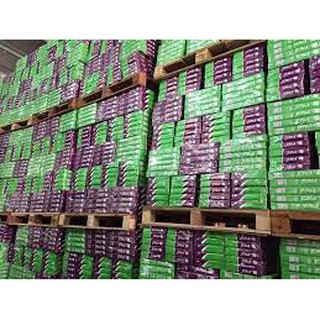 Tập giấy A4 PAGI ĐL 70GSM (500 TỜ)