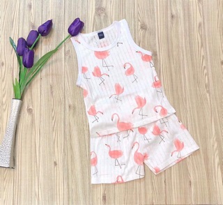 Combo 5 Bộ ba lỗ cotton giấy cho bé size đại (8-16kg)