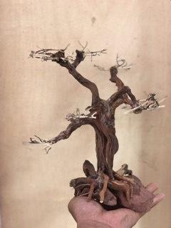 Lũa bonsai cổ thủ cho bể cá thuỷ sinh KT: C32xD22