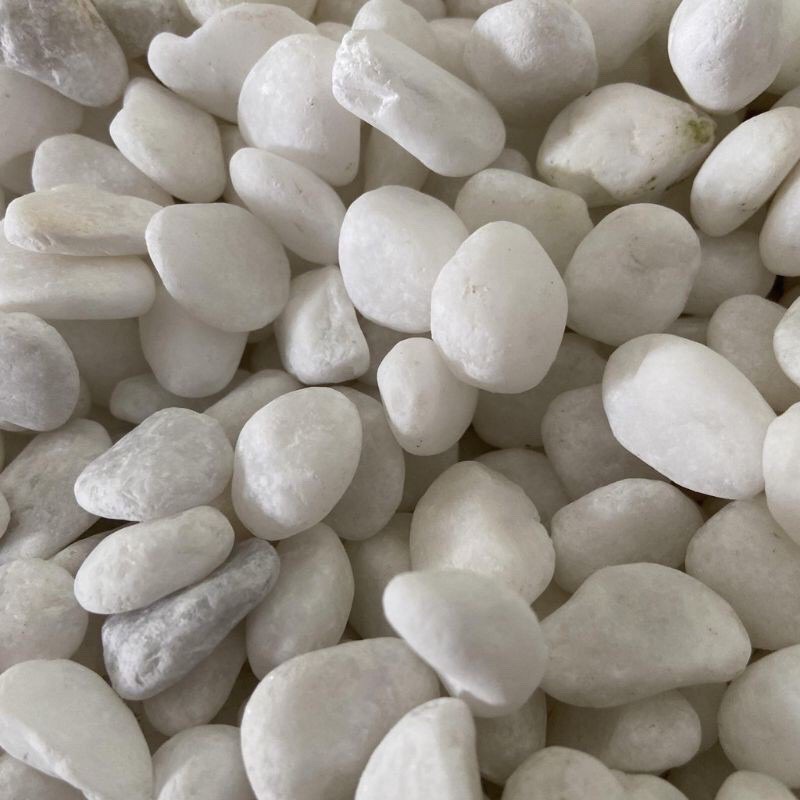 1 kg Sỏi trắng trang trí tiểu cảnh, bể cá 1kg