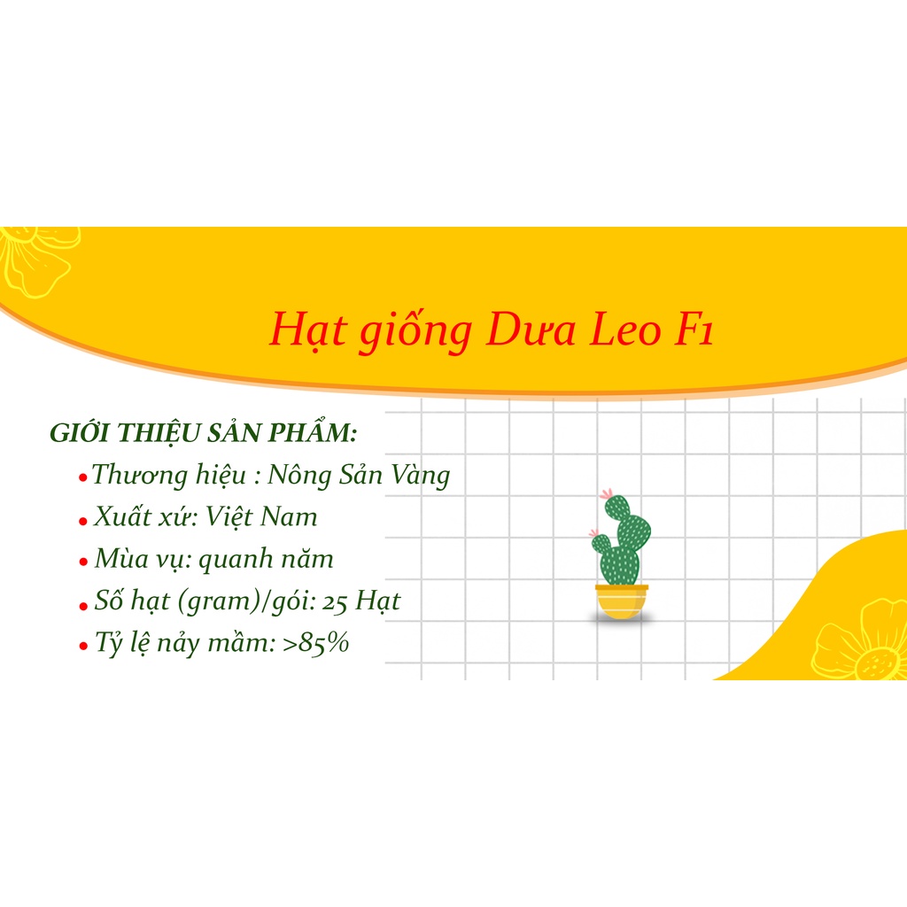 Hạt giống Dưa Leo ( Gói 25 hạt ) - Nông Sản Vàng