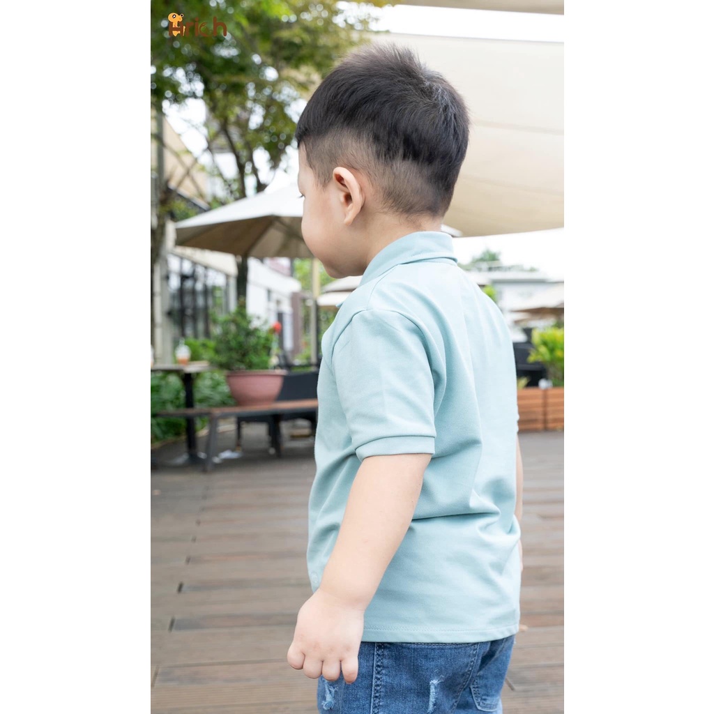 Áo polo trẻ em Arich vải cotton spandenx cao cấp, áo phông dệt mắt chim thoáng khí, siêu thấm hút và chống nhăn tự nhiên