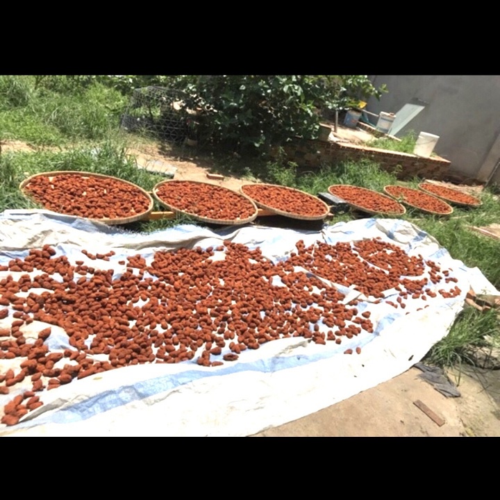 1 Kg Bột Nghệ Đỏ nguyên chất thiên nhiên 100% có giấy VSATTP và ĐKKD đa công dụng