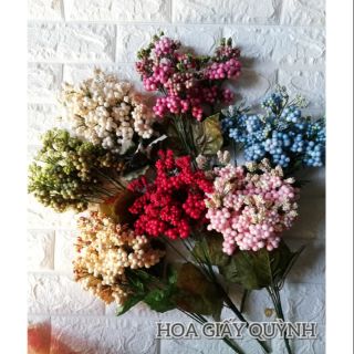 CDHHX- Cành điểm hoa hạt xốp