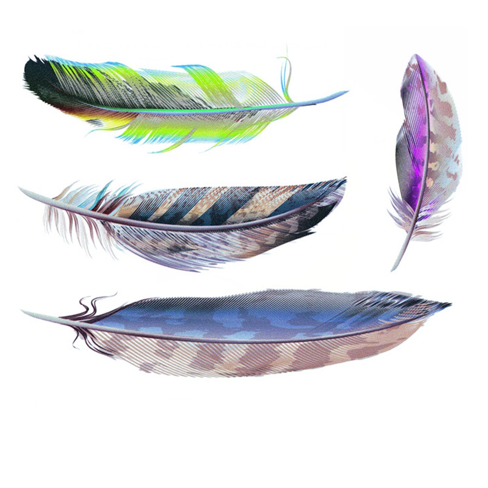 Set đề can dán xe hơi trang trí họa tiết lông vũ nhiều màu sắc