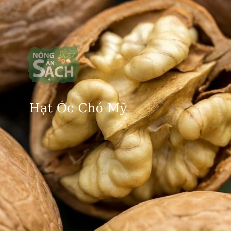 HẠT ÓC CHÓ NHẬP KHẨU MỸ 100% 500g