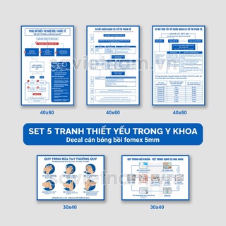 Set tranh y khoa: Sơ đồ phản vệ, Phác đồ xử trí ngộ độc tê, Quy trình rửa tay, Quy trình khử khuẩn- tiệt trùng dụng cụ