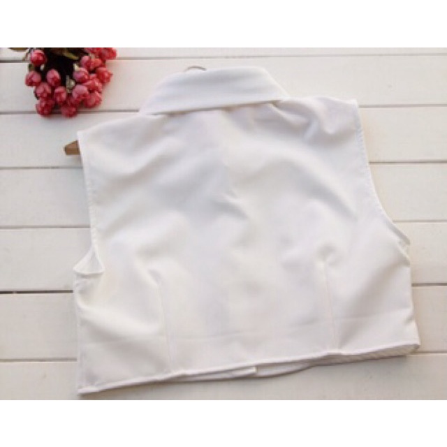 Áo croptop gọn nhẹ mặc trong áo len áo vest size S - Mã AO52