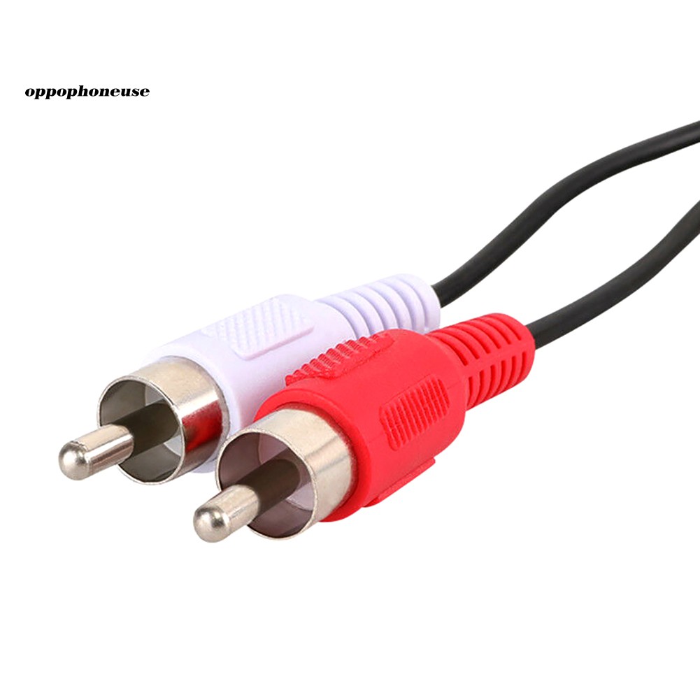 Cáp Chuyển Đổi Âm Thanh Từ Đầu Usb A Cái Sang 2 Rca Đực