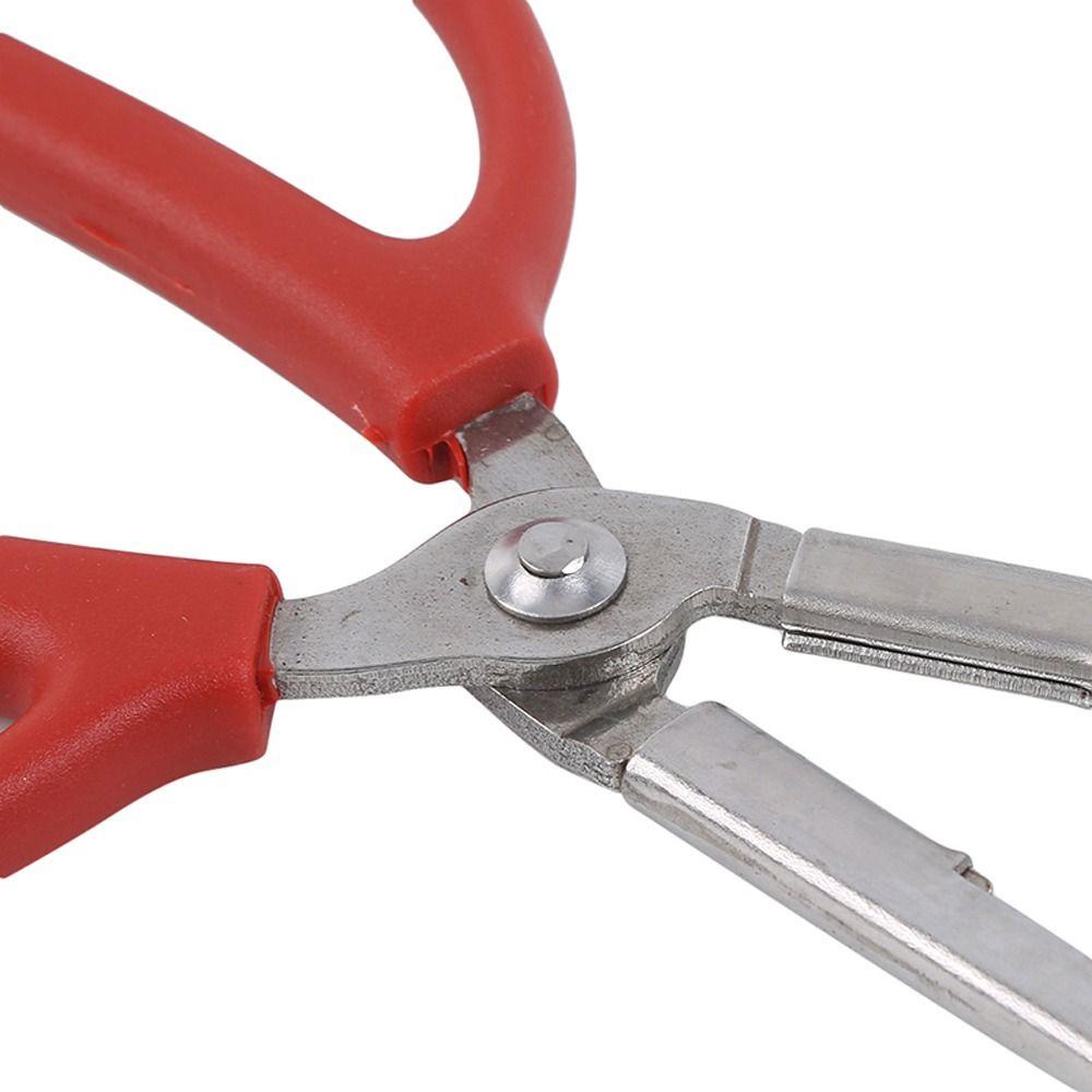 1 Kẹp Bắt Cua Biển Bằng Thép Không Gỉ Đa Năng