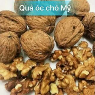Hạt óc chó