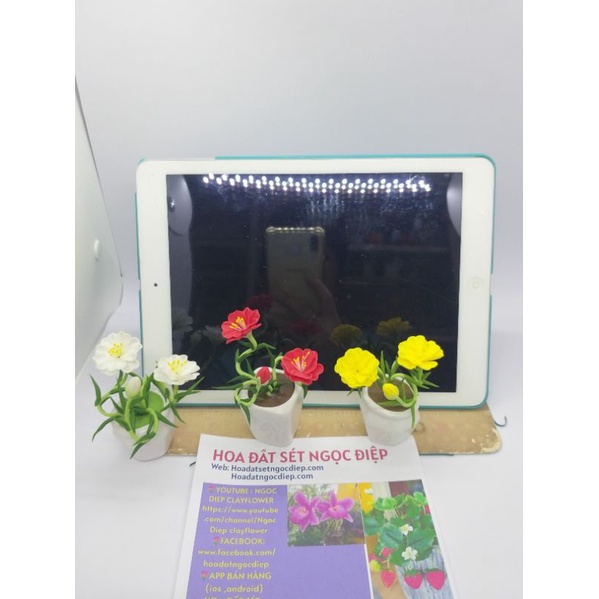 20 CHẬU HOA ĐẤT SÉT MINI 10cm. Giao ngẫu nhiên