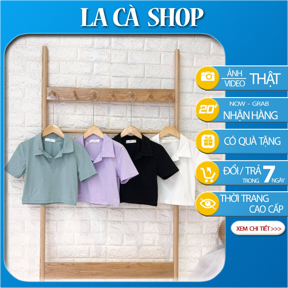 [FREESHIP50K] Áo croptop cổ đức nhiều màu hot 2020 (ảnh thật shop chụp)