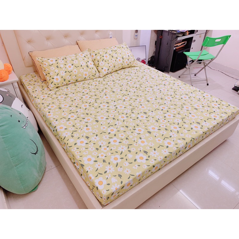 Ga Gối Polly Các Mẫu Mới | BigBuy360 - bigbuy360.vn