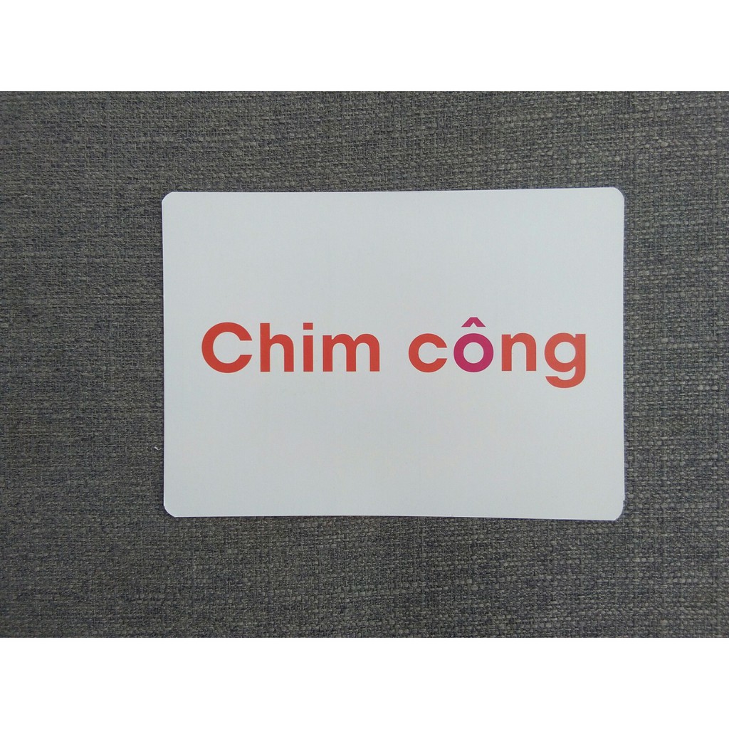 Flashcard Bảng Chữ Cái Tiếng Việt Đầu Tiên Cho Bé