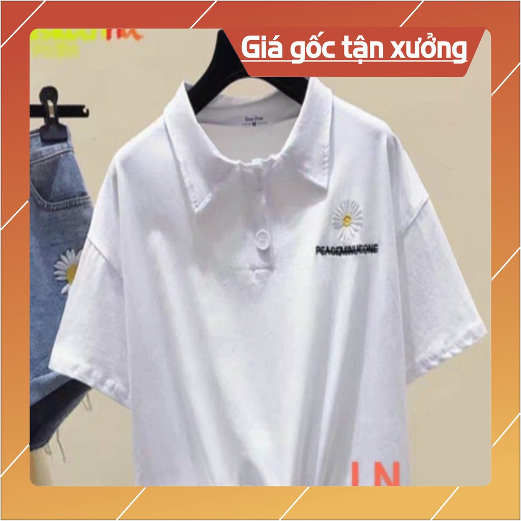 Áo croptop polo lô gô hoa cúc chữ nhỏ LN12